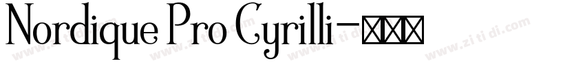Nordique Pro Cyrilli字体转换